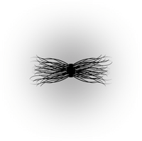 Vetiver